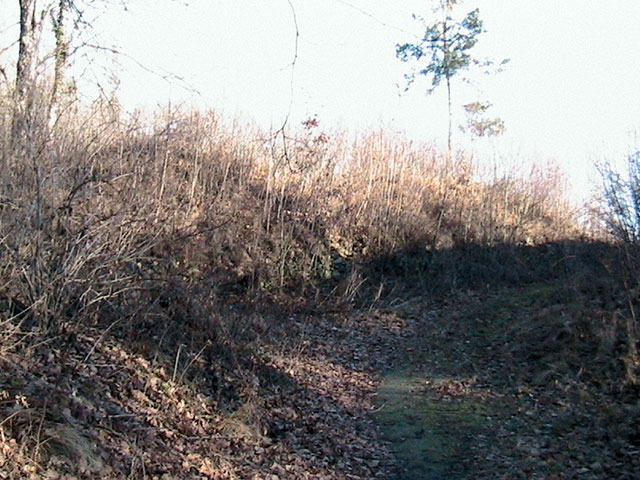 Třísov