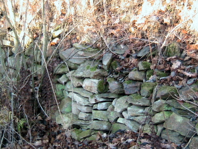 Třísov