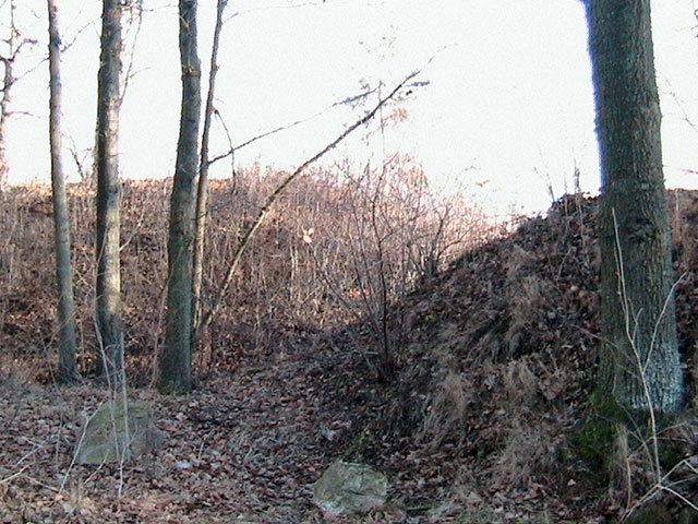 Třísov