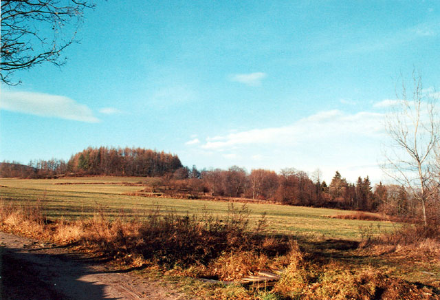 Třísov