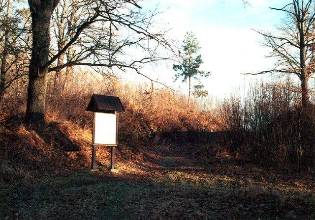Třísov